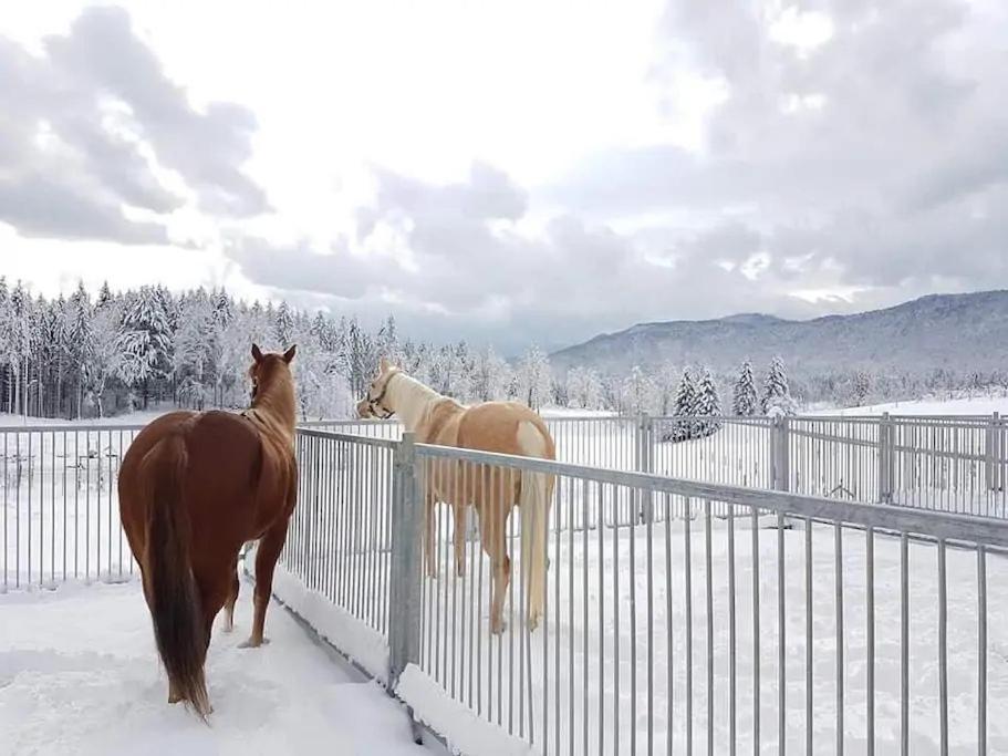 Ranch Marina Otel Koce Dış mekan fotoğraf